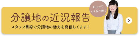 分譲地の近況報告