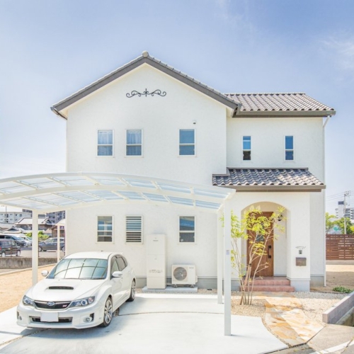 光と木に心安らぐカフェのような家